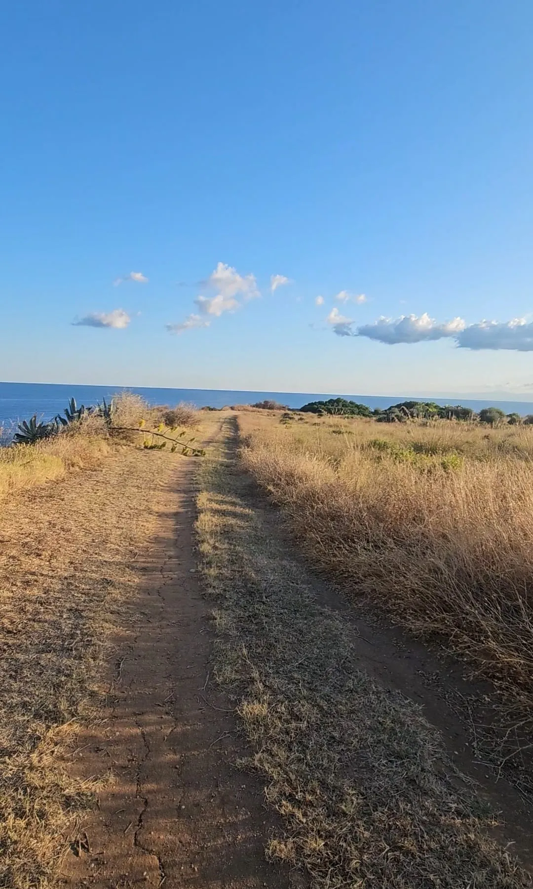 Online Fitnesskurse für Frauen